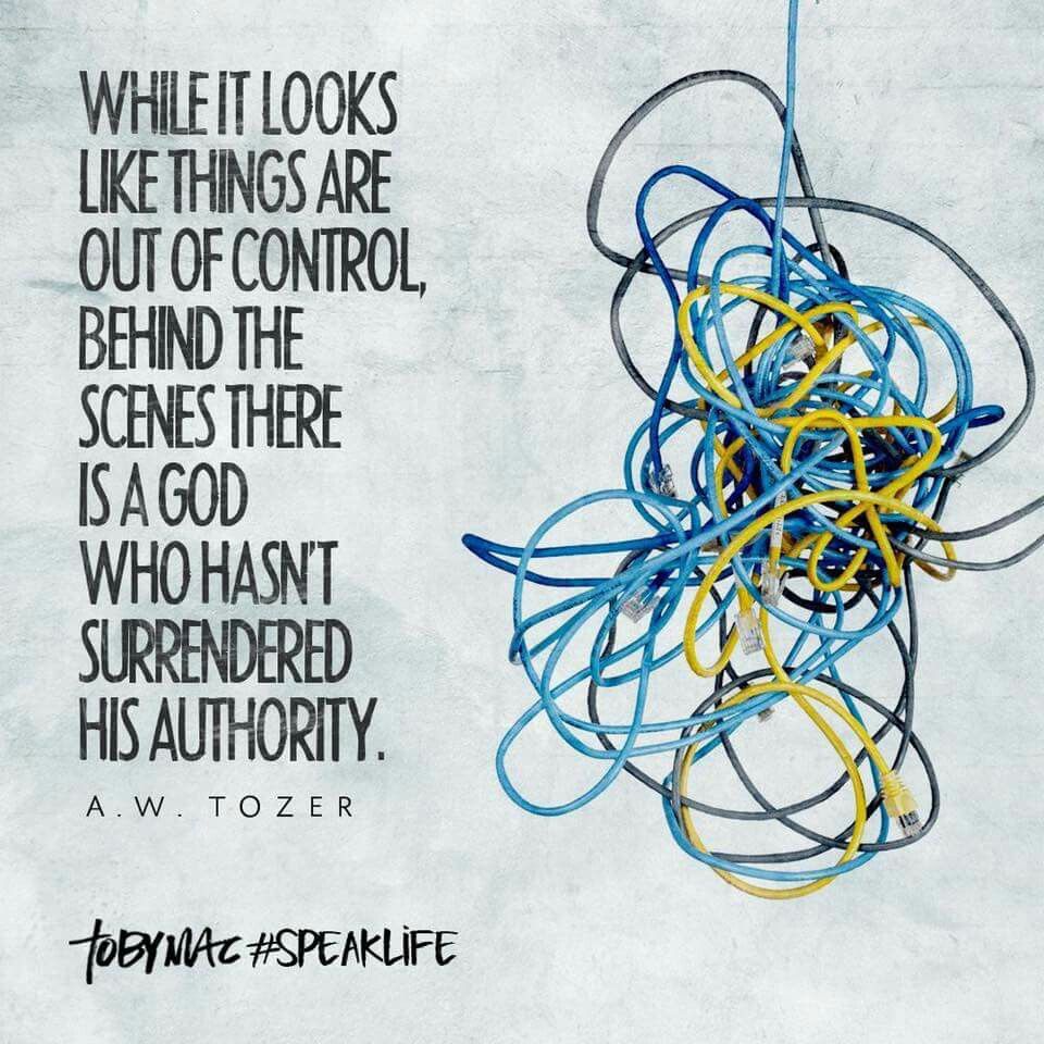 4d7809e7b50e093e4cc50637968f7904